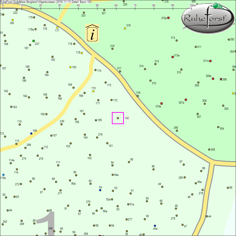 Detailkarte zu Baum 100