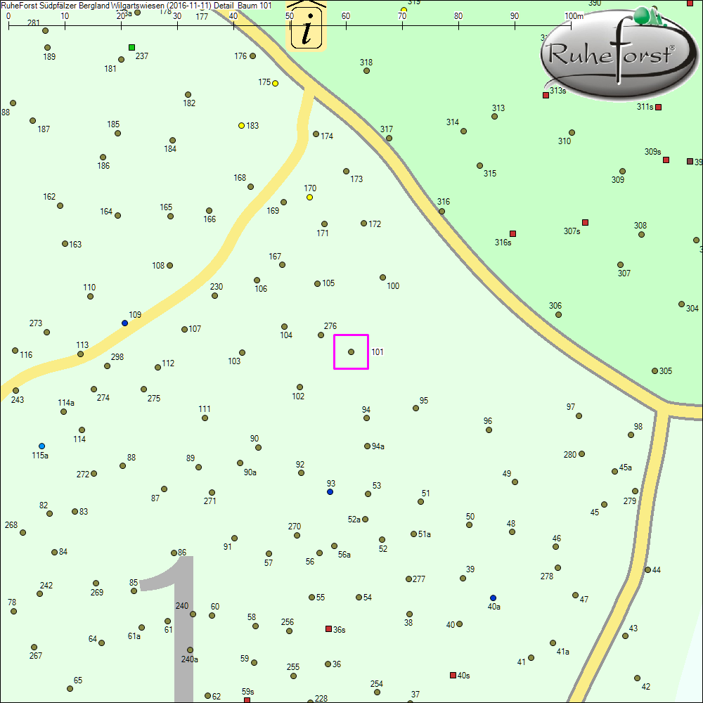 Detailkarte zu Baum 101