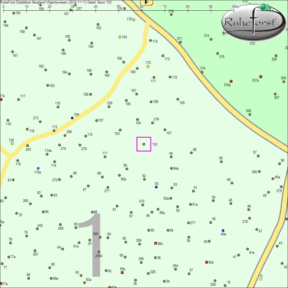 Detailkarte zu Baum 102