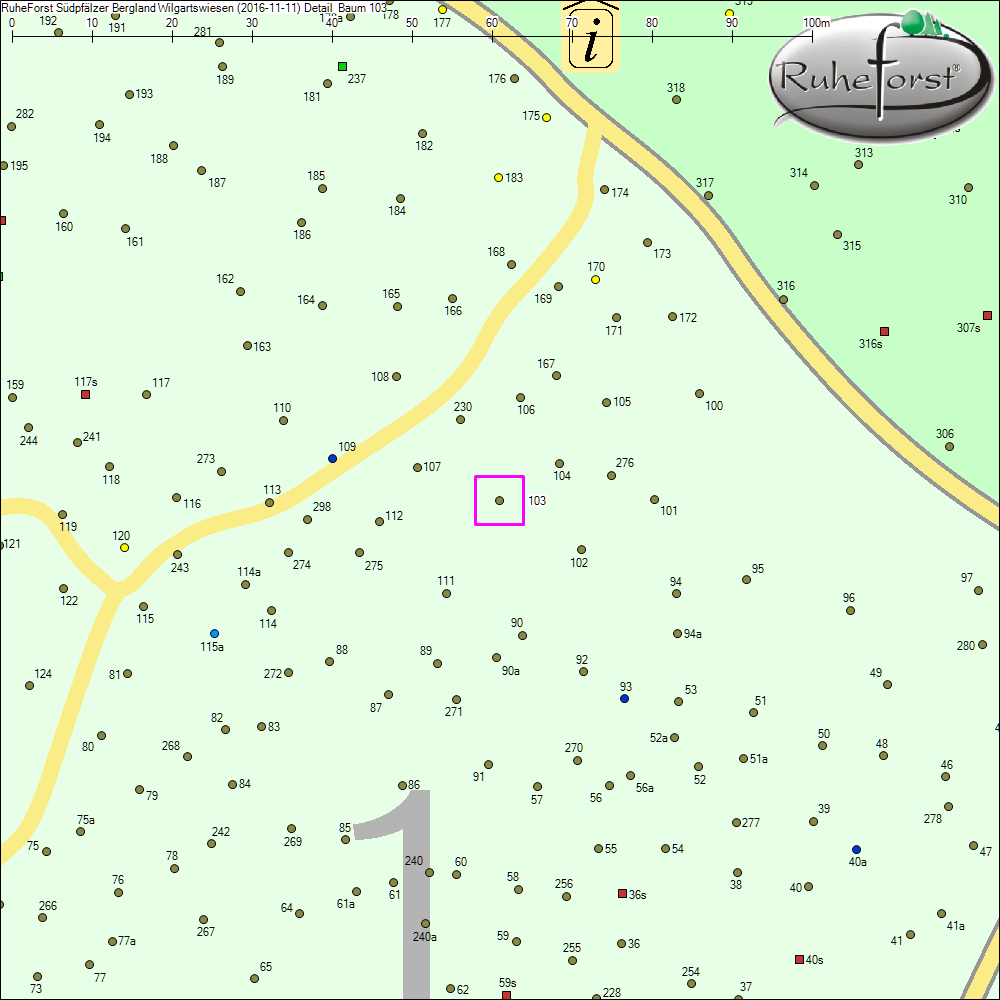 Detailkarte zu Baum 103