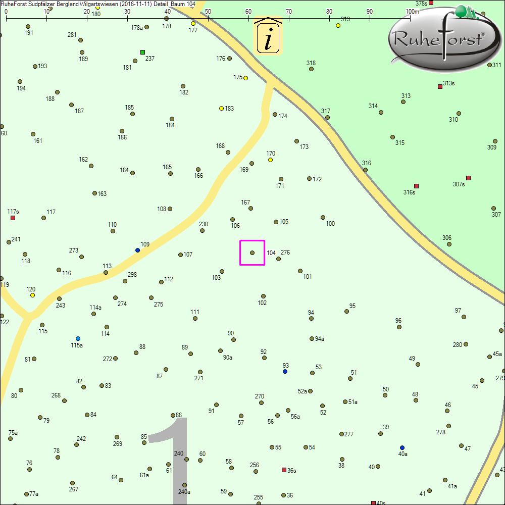 Detailkarte zu Baum 104