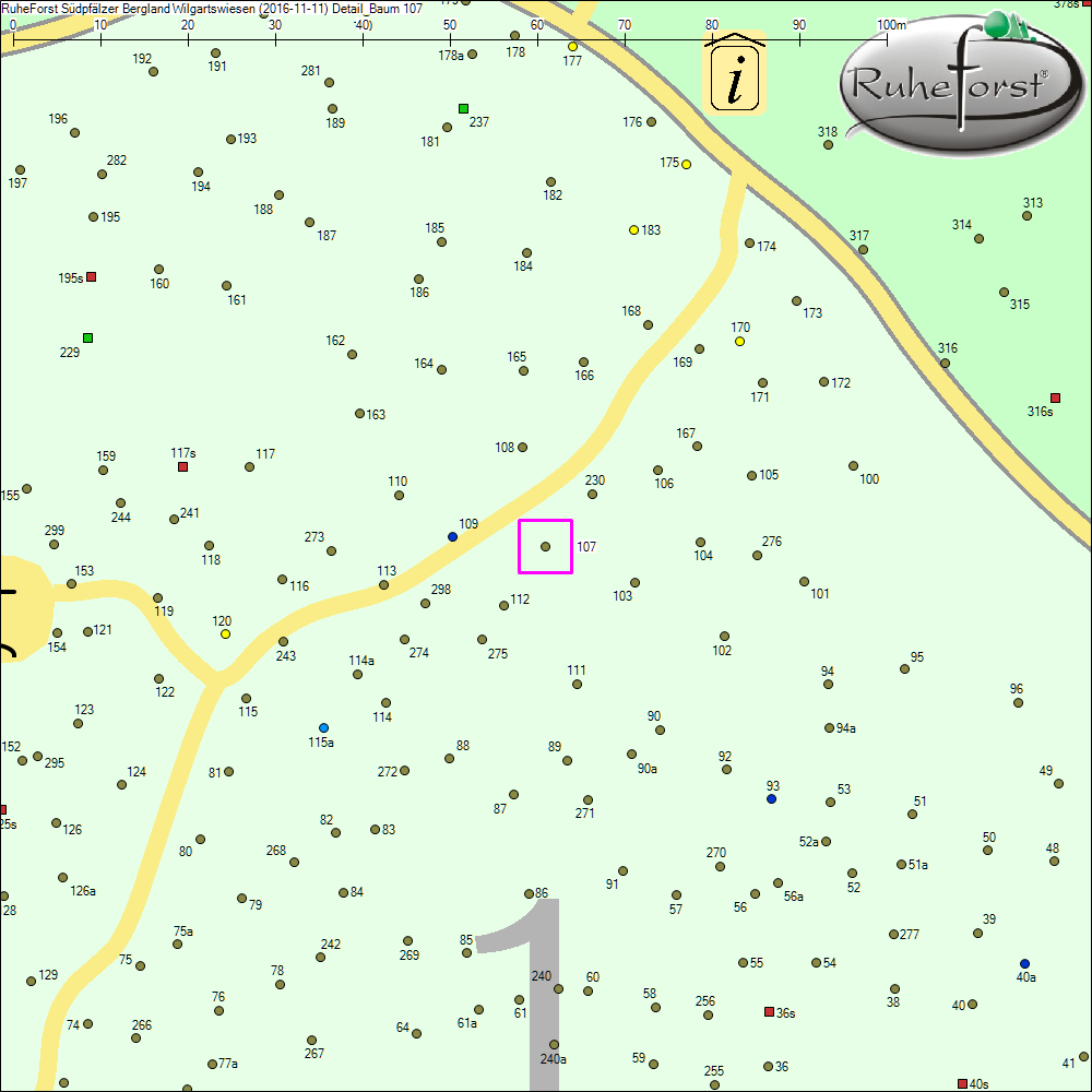 Detailkarte zu Baum 107