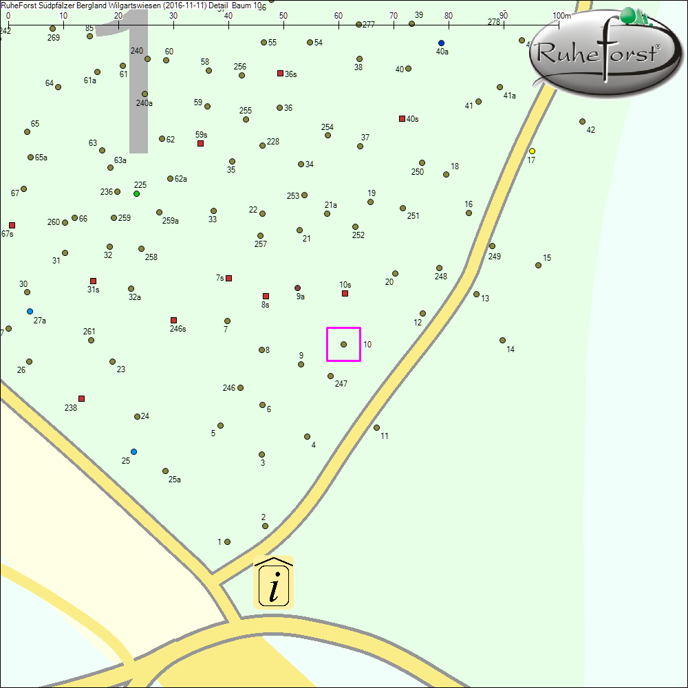 Detailkarte zu Baum 10
