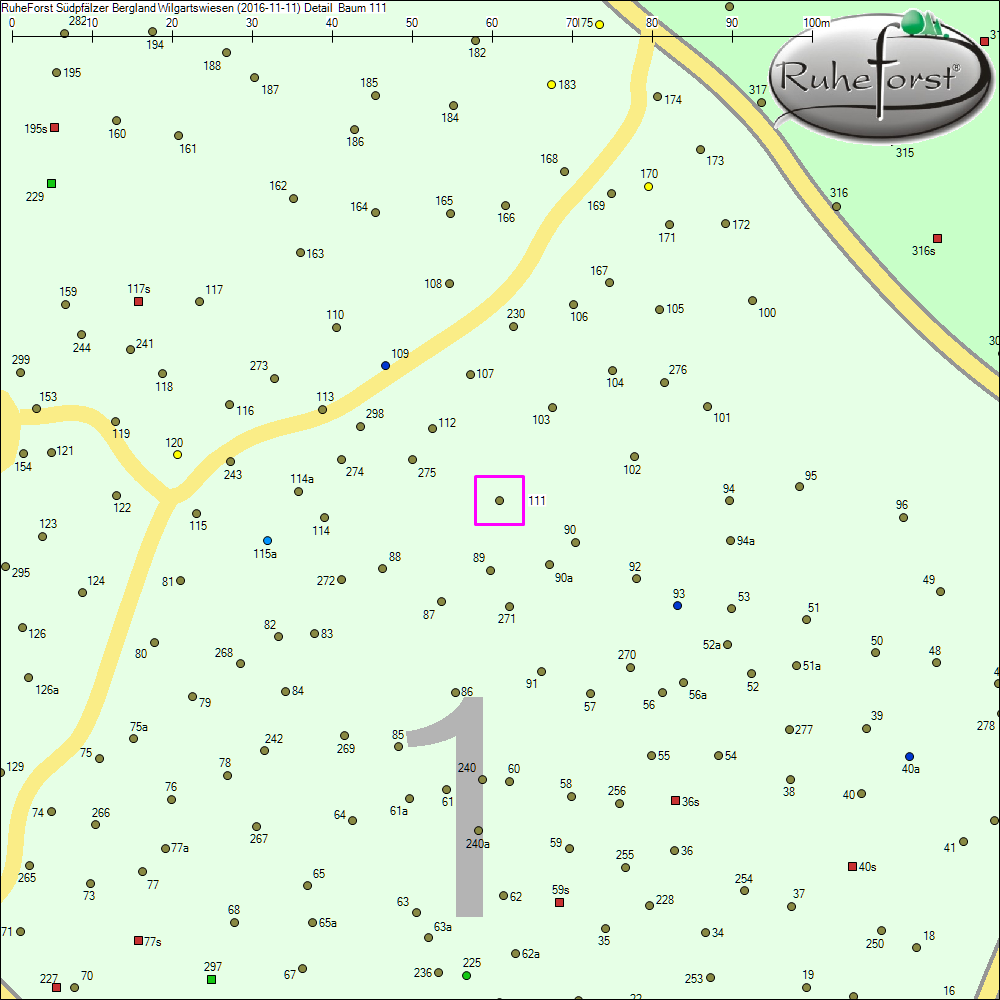 Detailkarte zu Baum 111