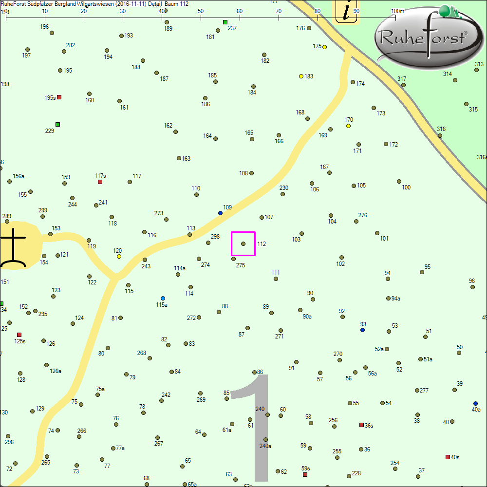 Detailkarte zu Baum 112