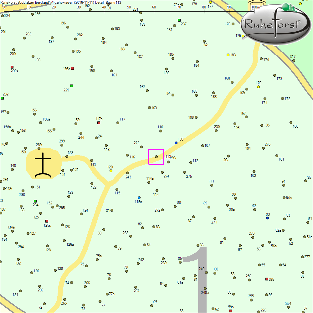 Detailkarte zu Baum 113