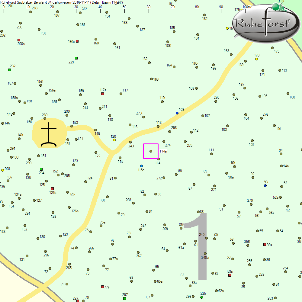 Detailkarte zu Baum 114a