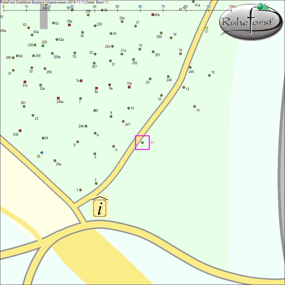 Detailkarte zu Baum 11