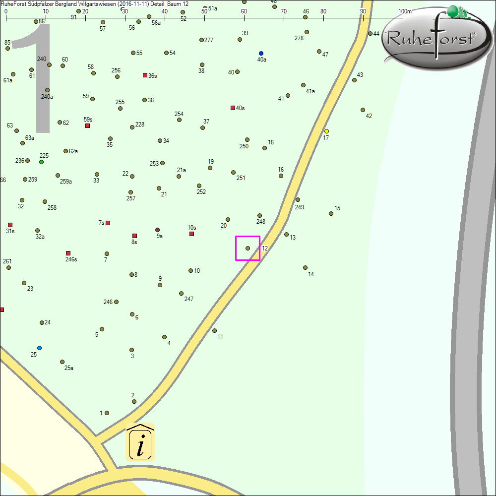 Detailkarte zu Baum 12