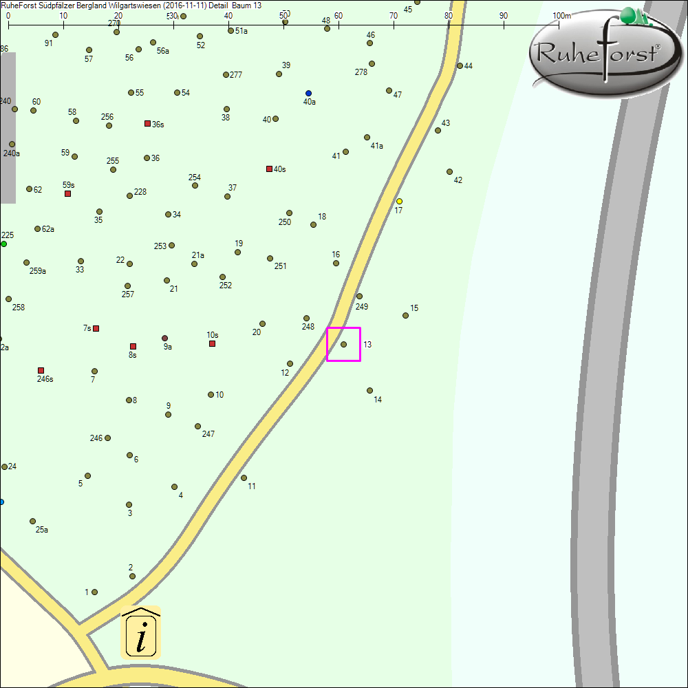 Detailkarte zu Baum 13