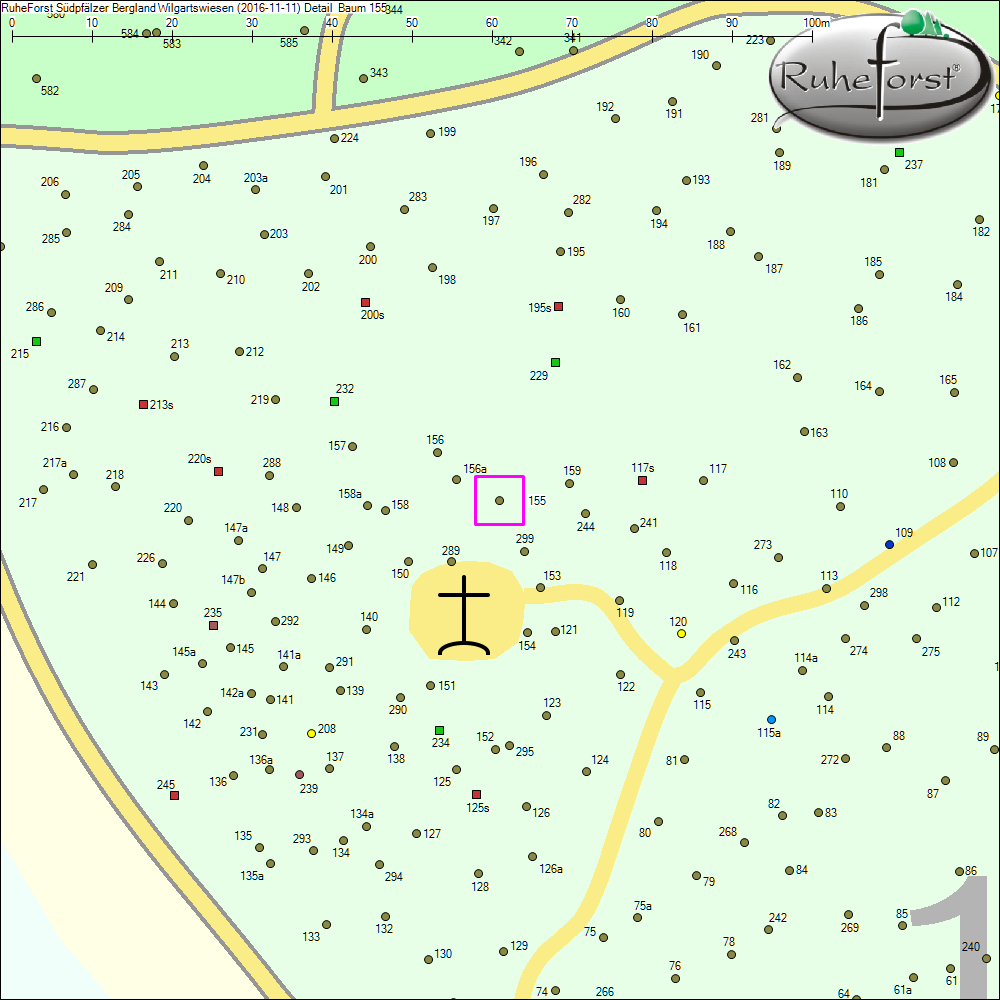 Detailkarte zu Baum 155