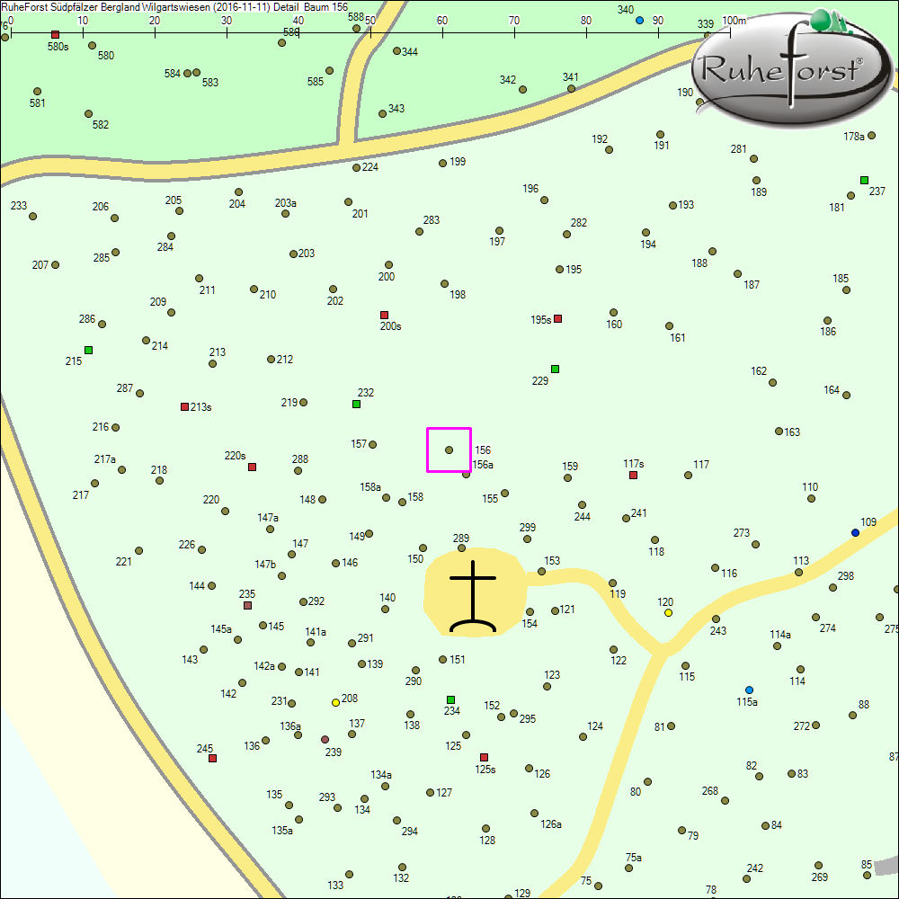 Detailkarte zu Baum 156