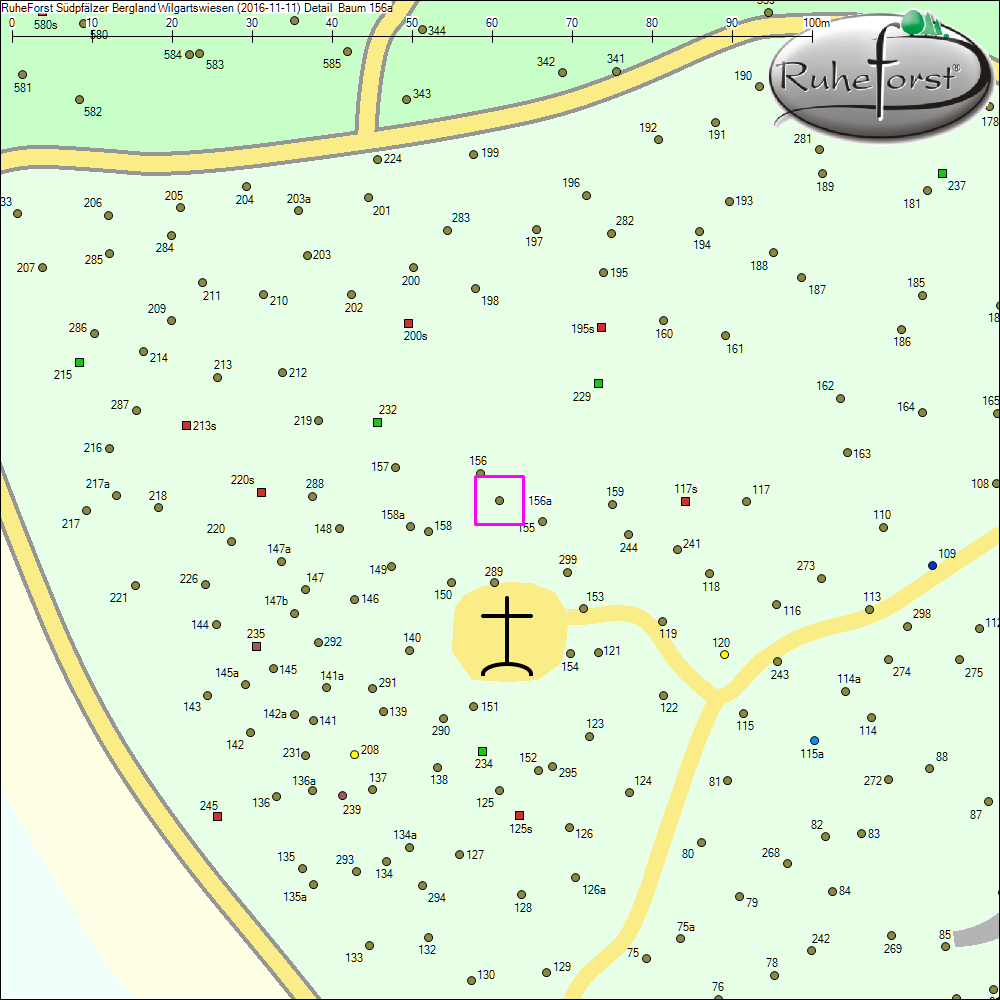 Detailkarte zu Baum 156a
