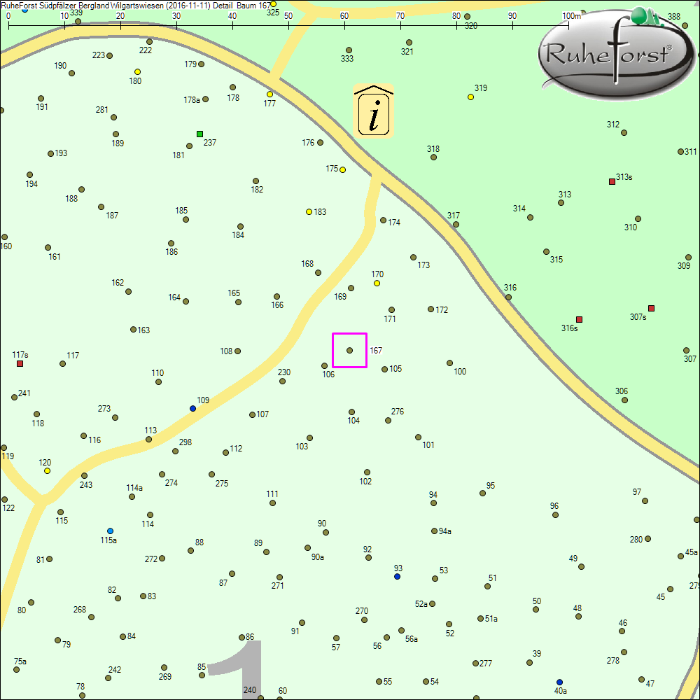 Detailkarte zu Baum 167