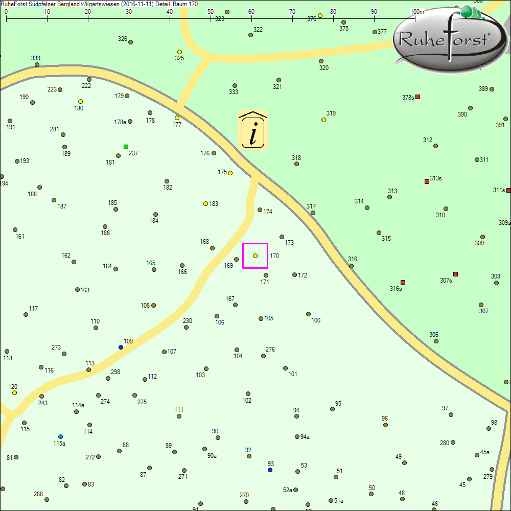 Detailkarte zu Baum 170