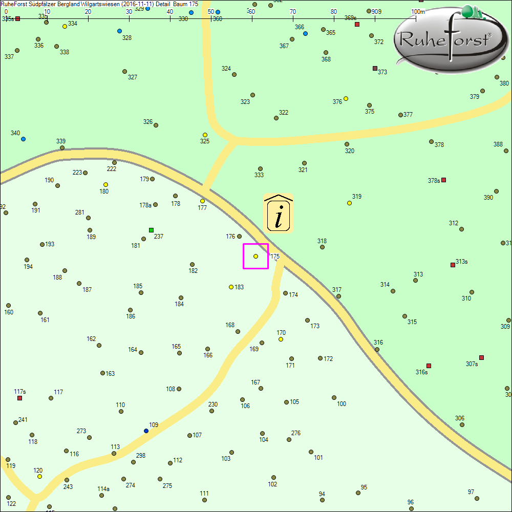Detailkarte zu Baum 175
