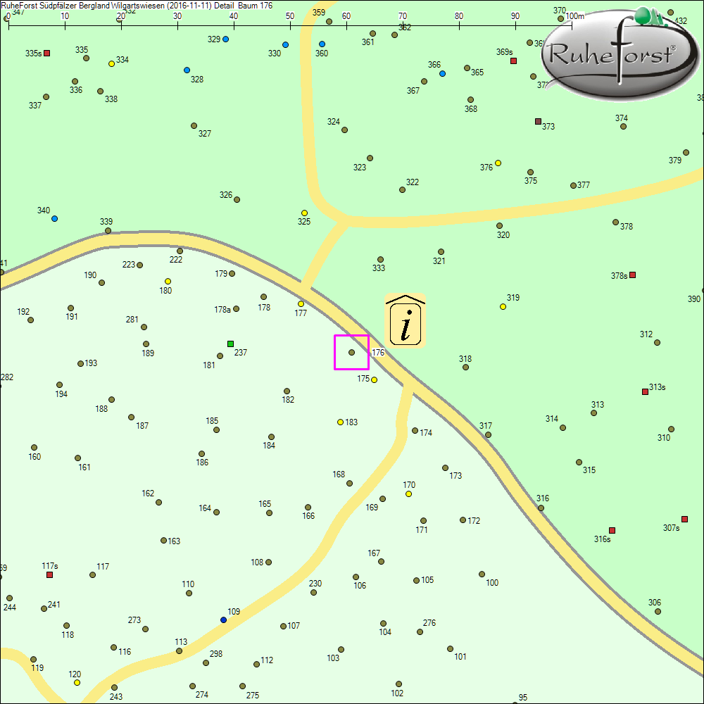 Detailkarte zu Baum 176