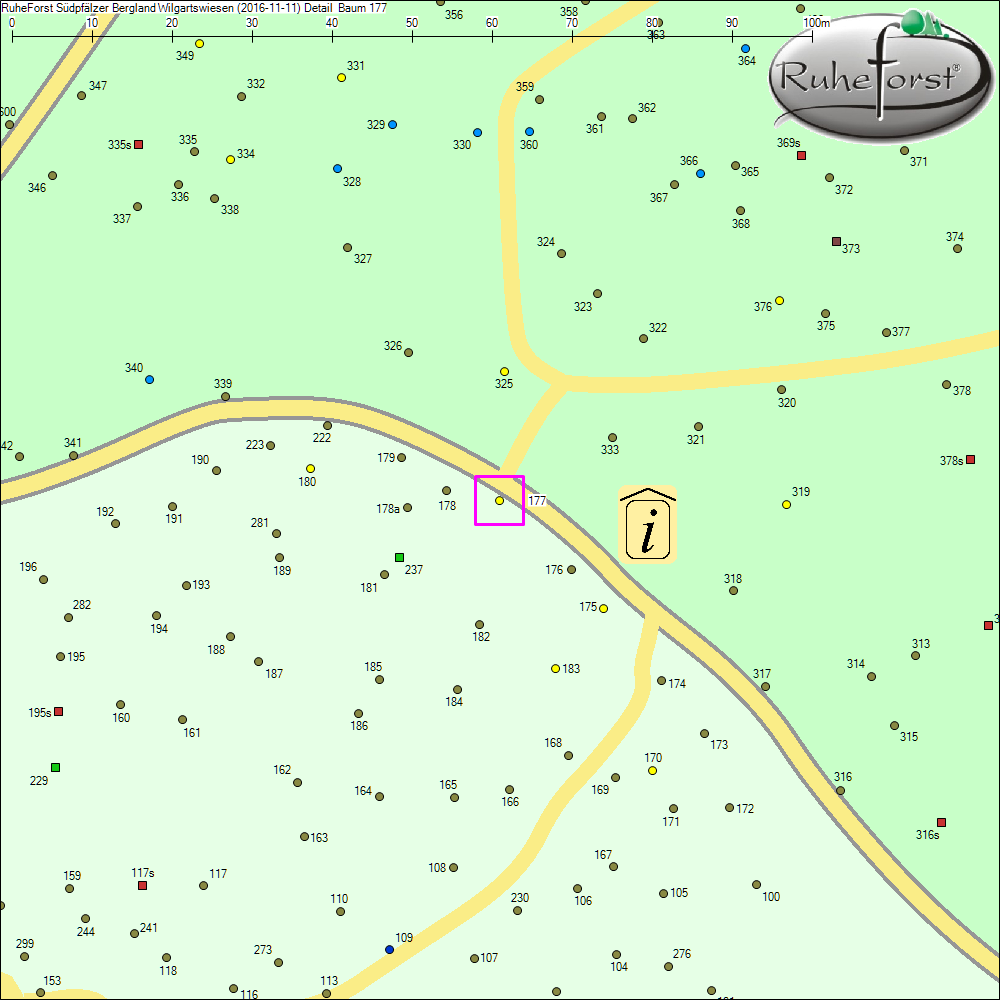 Detailkarte zu Baum 177