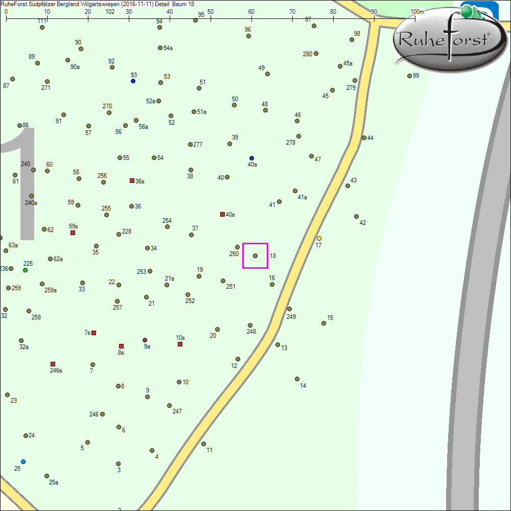 Detailkarte zu Baum 18