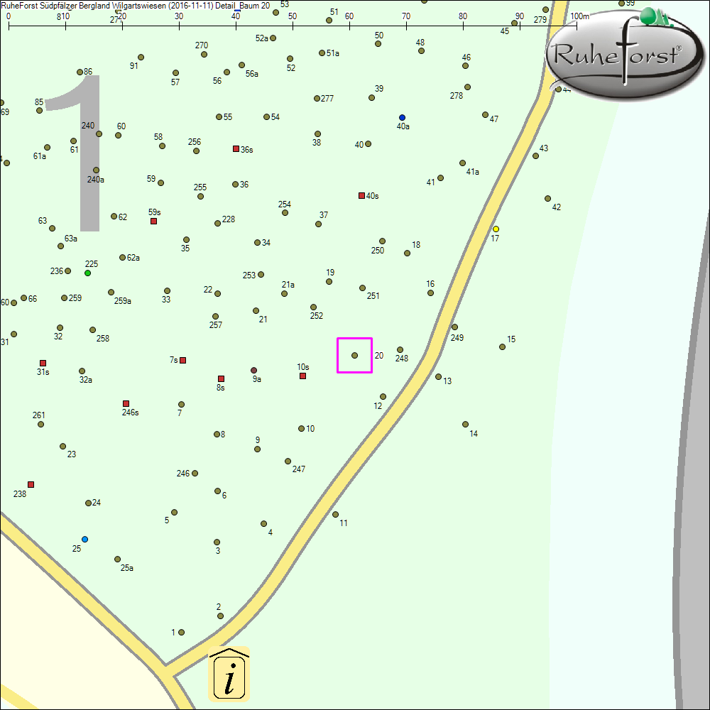 Detailkarte zu Baum 20