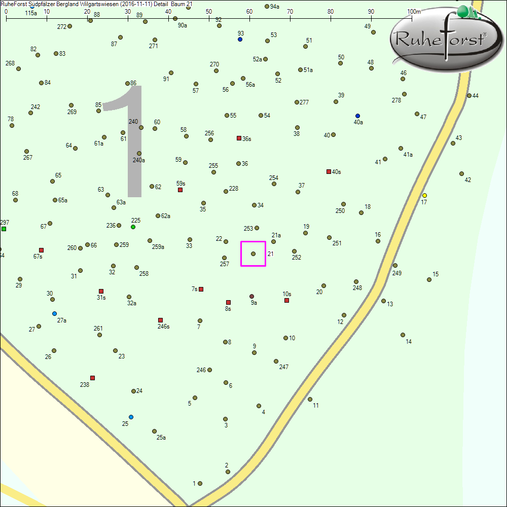 Detailkarte zu Baum 21