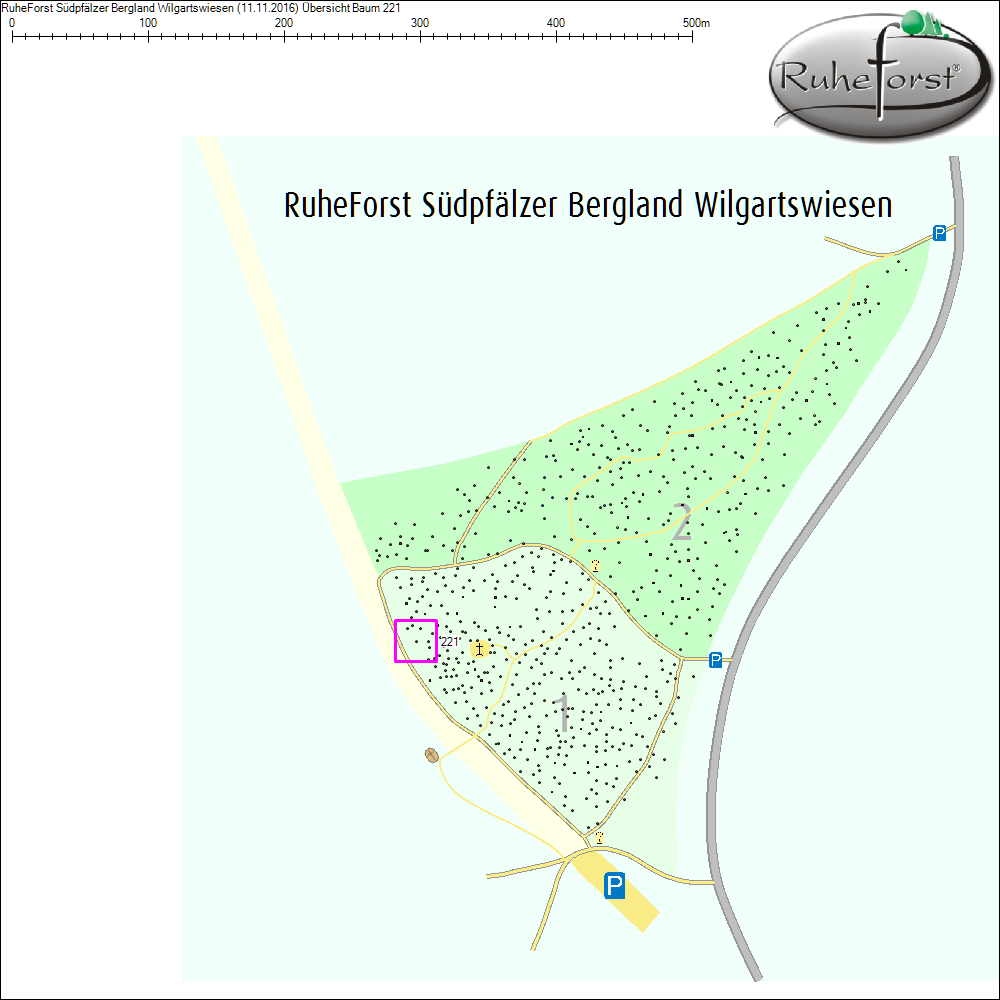 Übersichtskarte zu Baum 221
