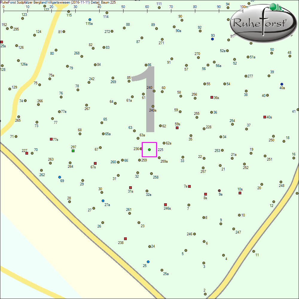 Detailkarte zu Baum 225
