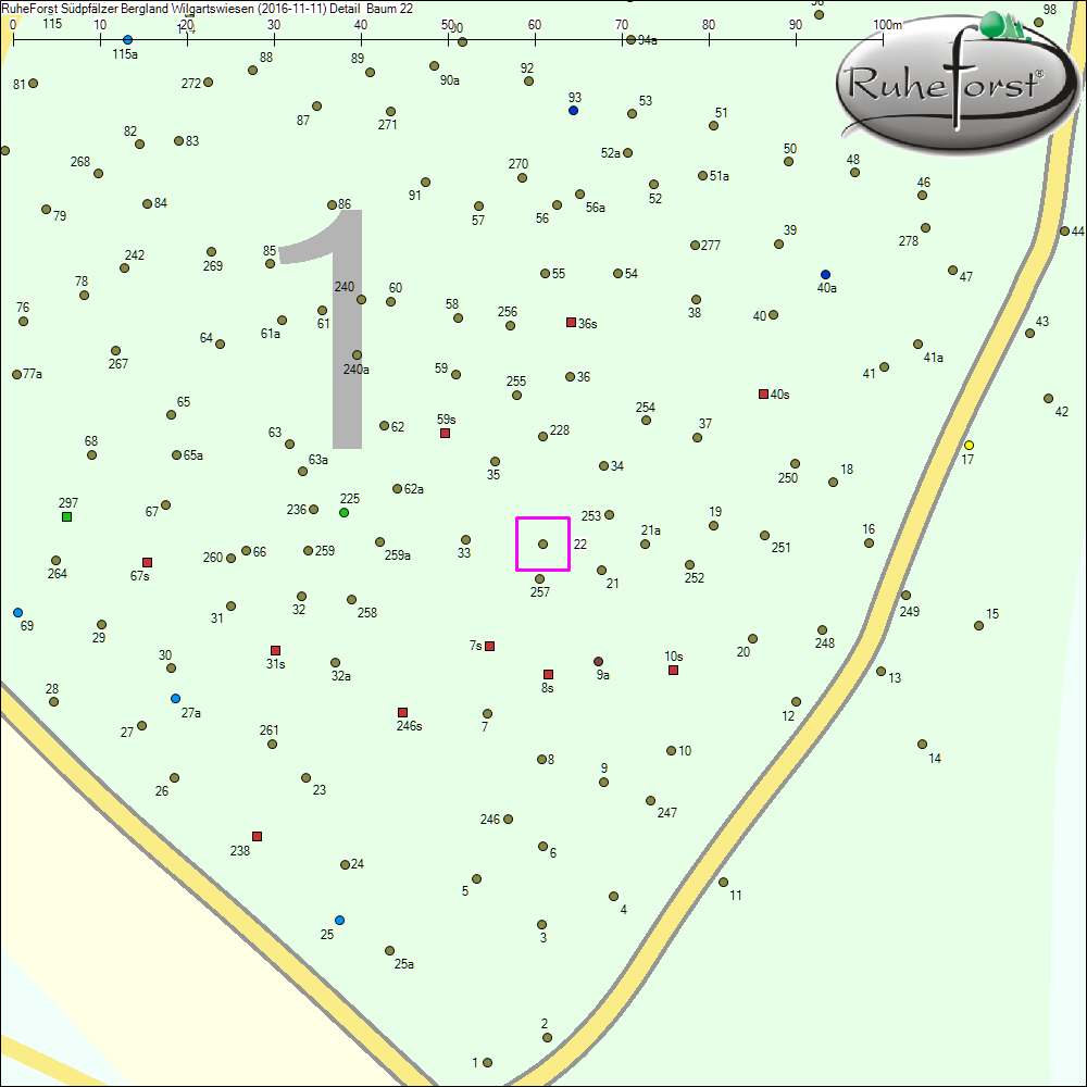 Detailkarte zu Baum 22