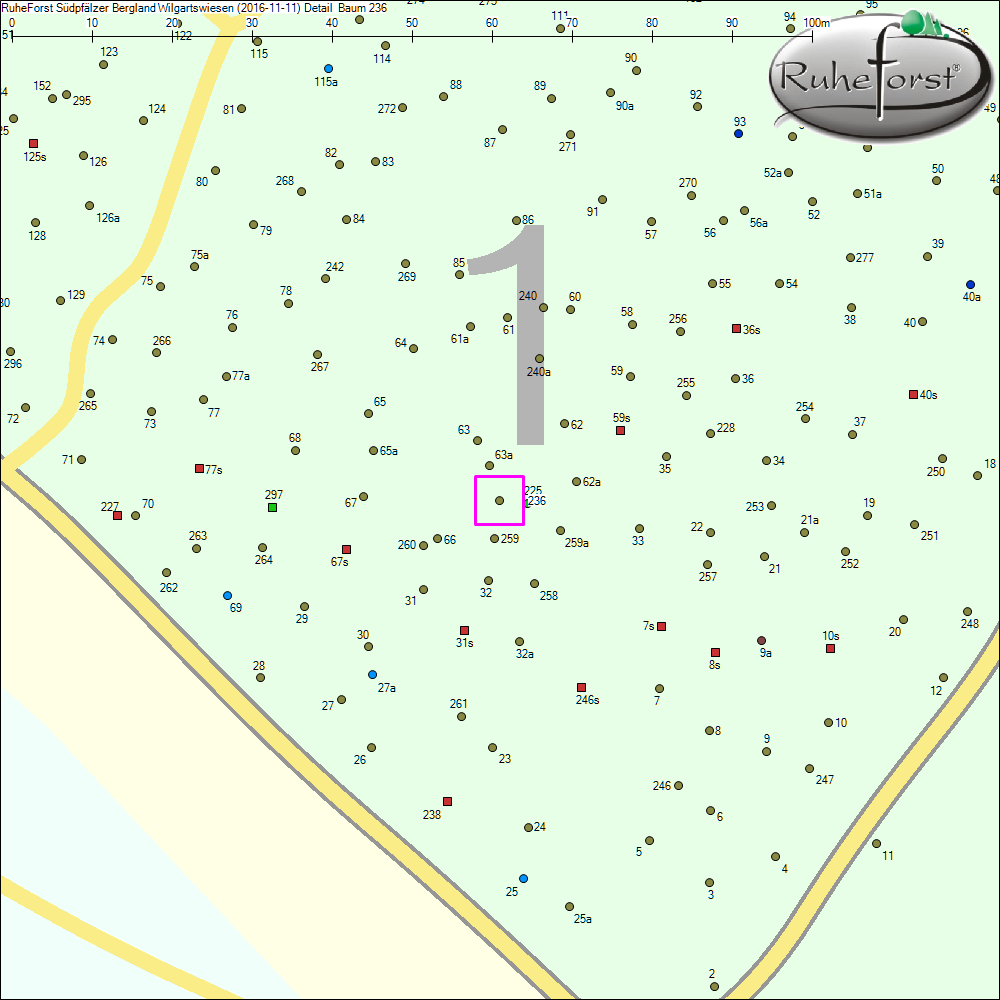 Detailkarte zu Baum 236