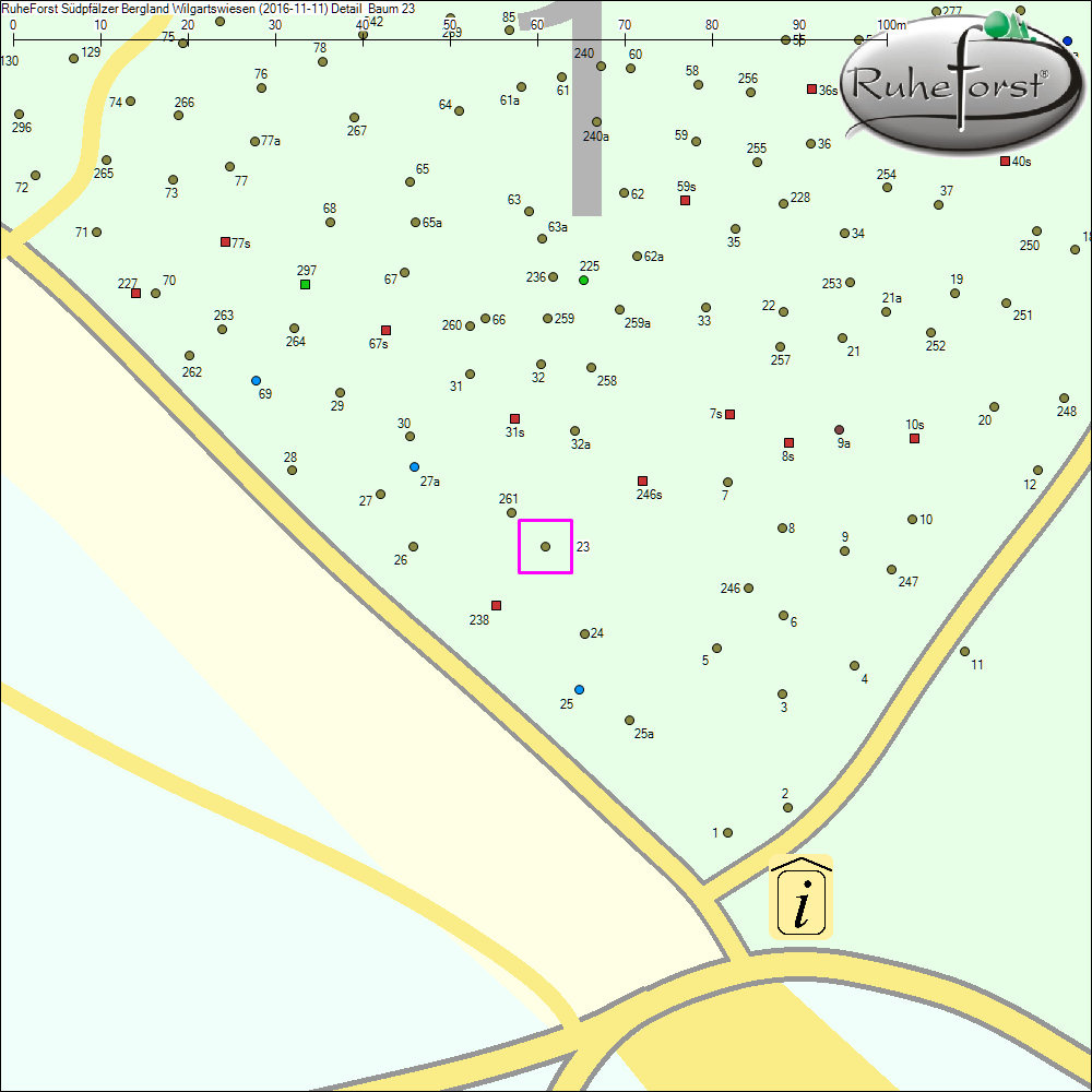 Detailkarte zu Baum 23