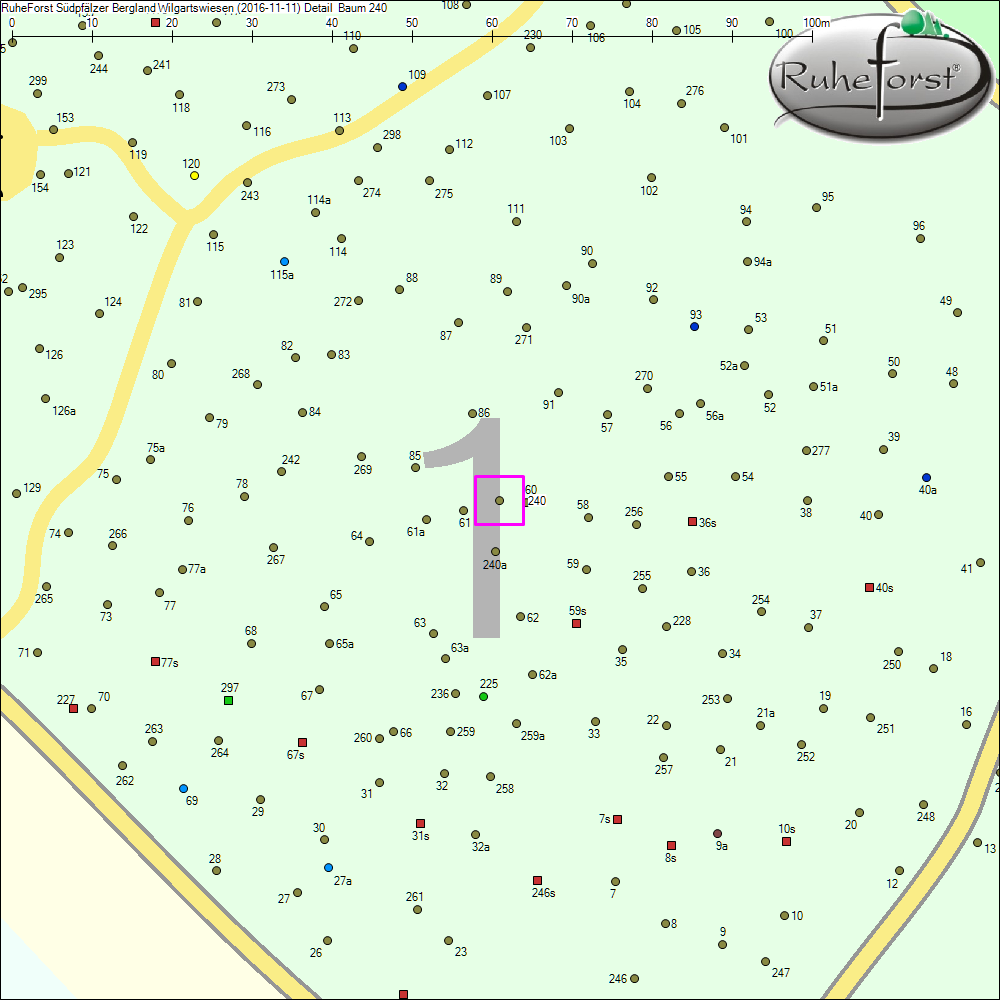 Detailkarte zu Baum 240