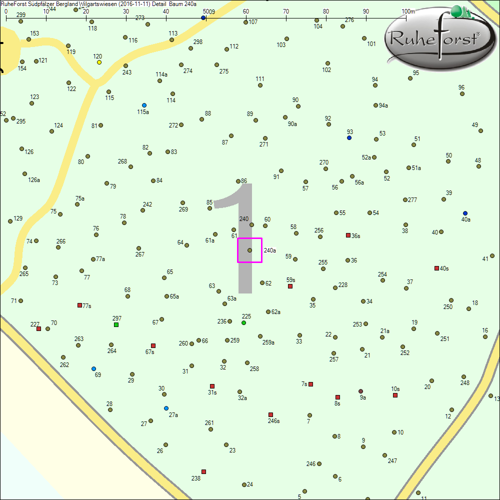 Detailkarte zu Baum 240a