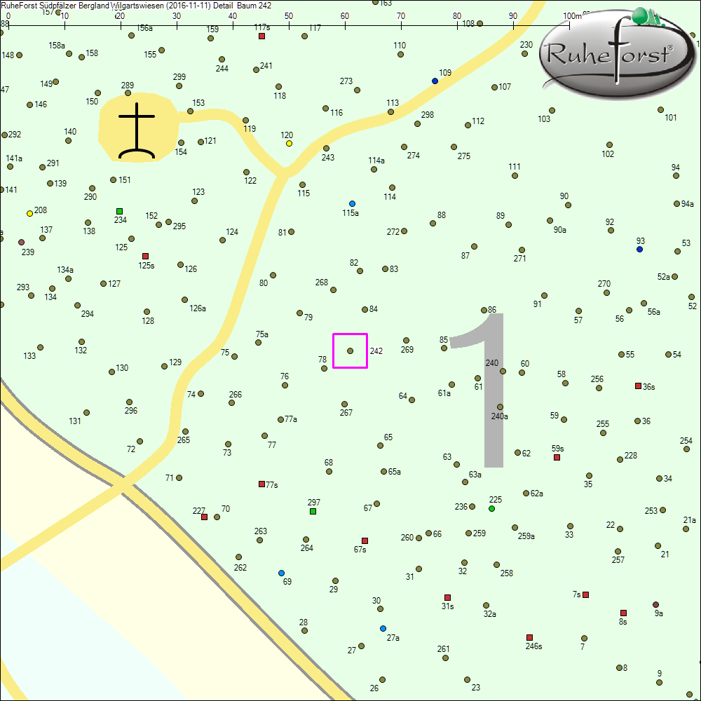 Detailkarte zu Baum 242