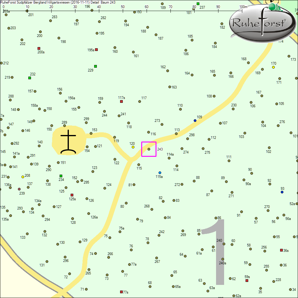 Detailkarte zu Baum 243