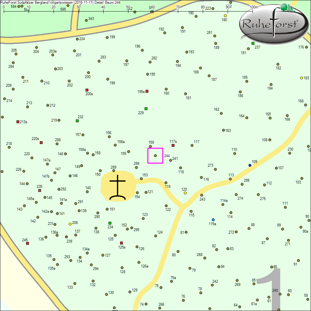 Detailkarte zu Baum 244
