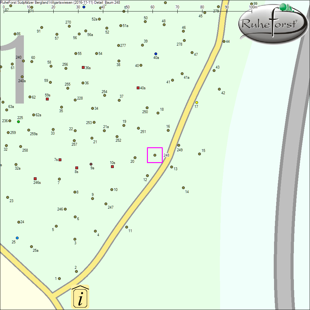 Detailkarte zu Baum 248
