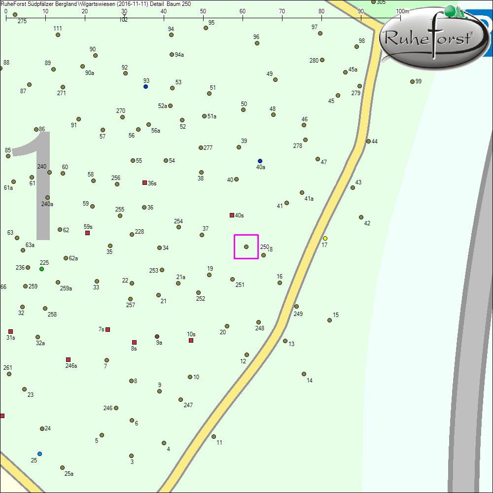 Detailkarte zu Baum 250