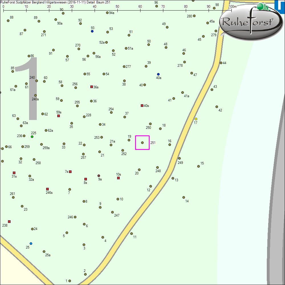 Detailkarte zu Baum 251