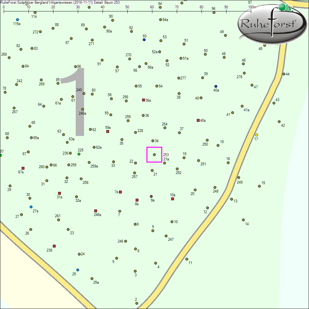 Detailkarte zu Baum 253
