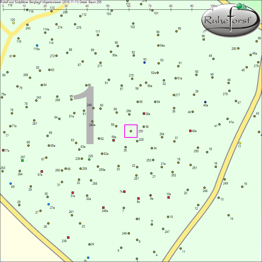 Detailkarte zu Baum 255