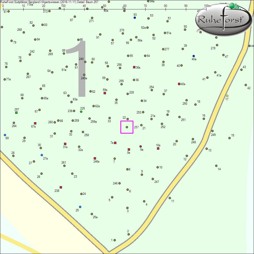 Detailkarte zu Baum 257