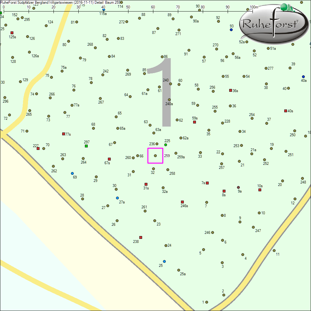 Detailkarte zu Baum 259