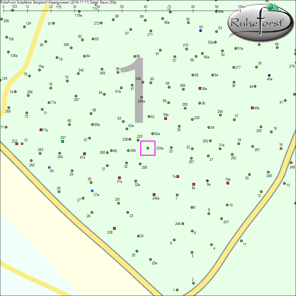Detailkarte zu Baum 259a