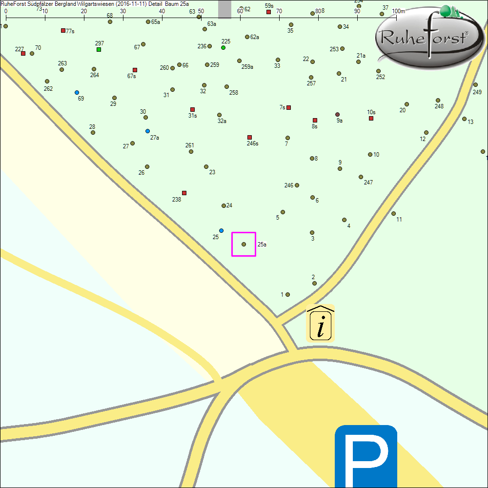 Detailkarte zu Baum 25a