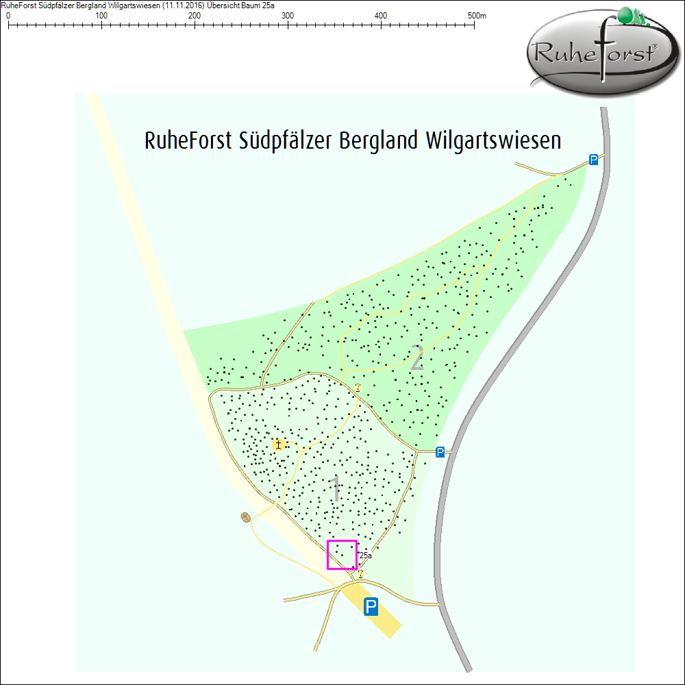 Übersichtskarte zu Baum 25a