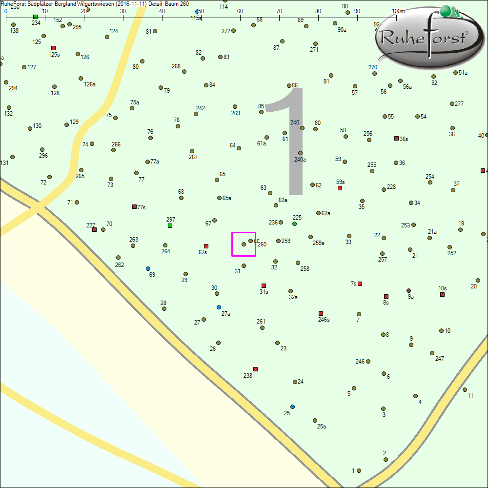 Detailkarte zu Baum 260