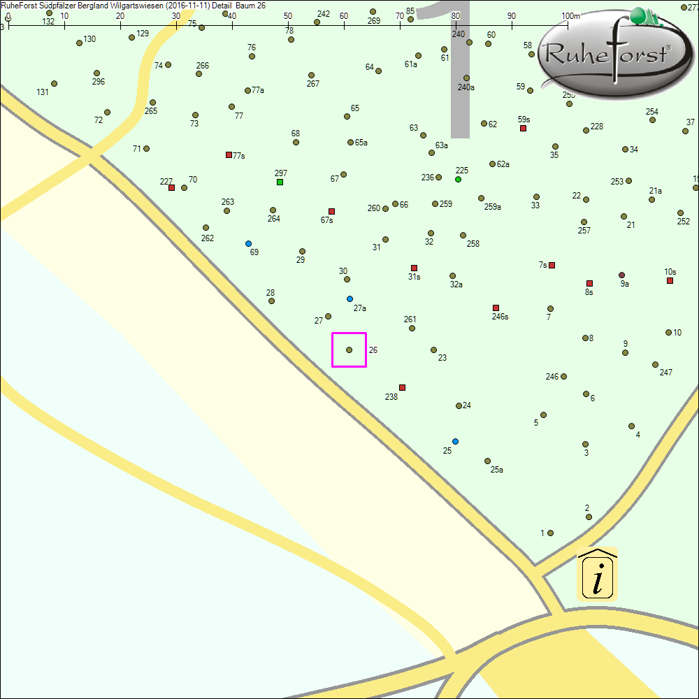 Detailkarte zu Baum 26