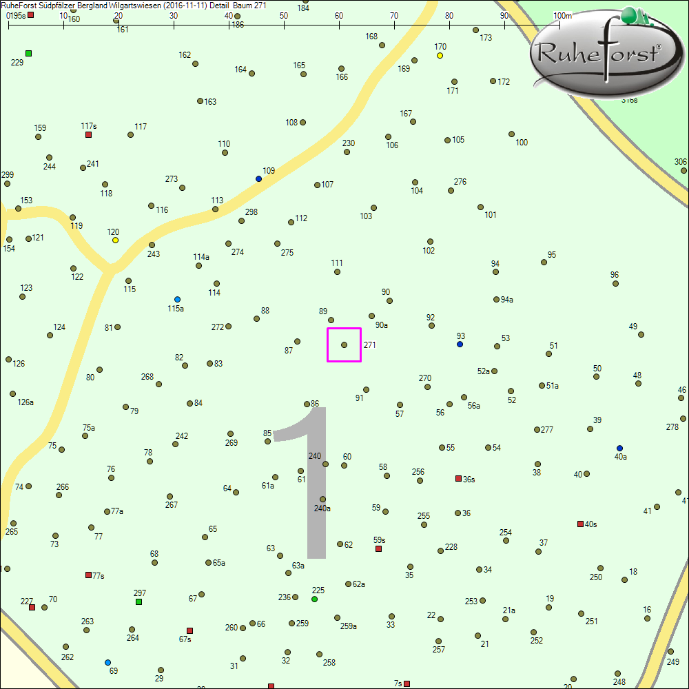 Detailkarte zu Baum 271