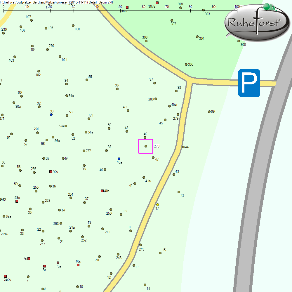 Detailkarte zu Baum 278