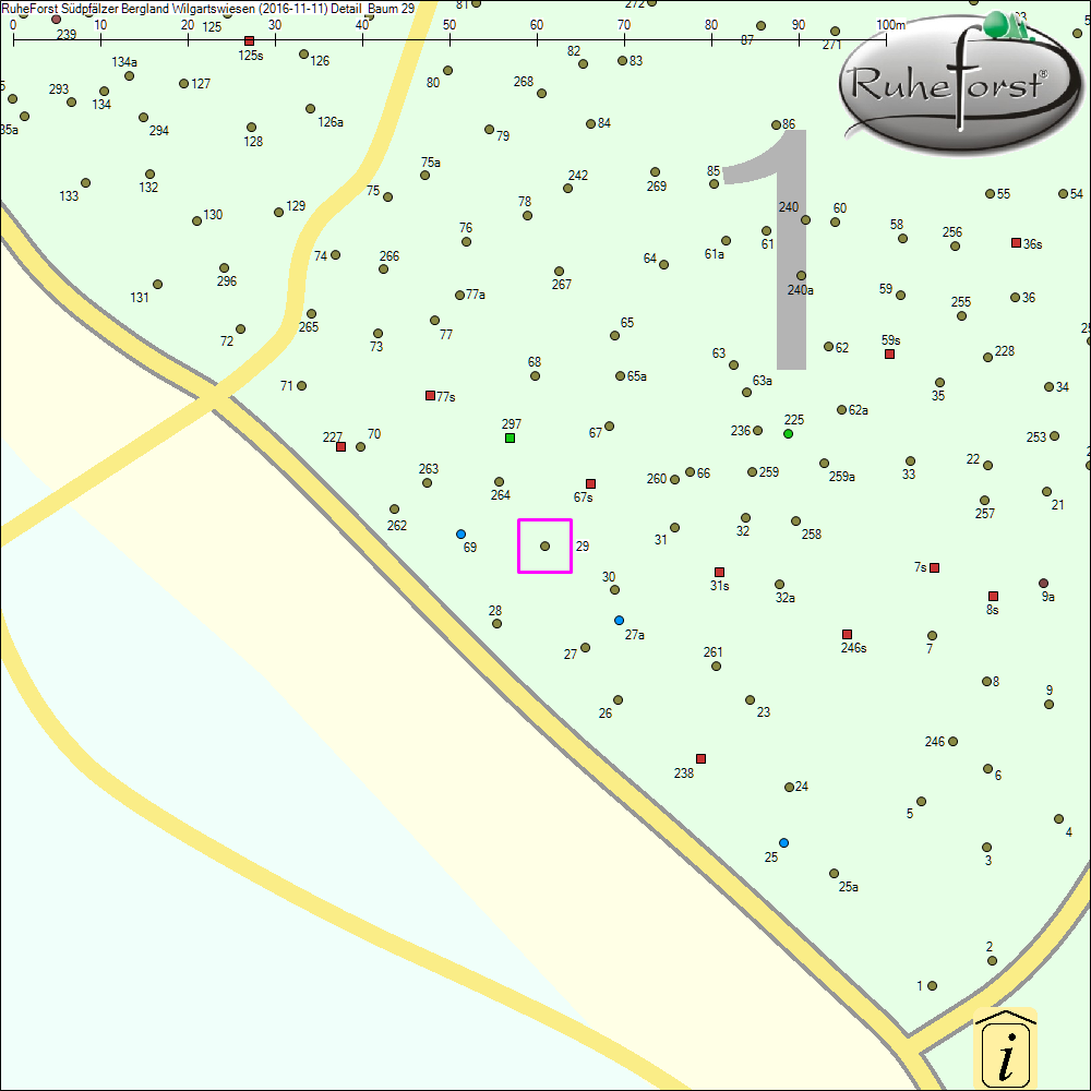 Detailkarte zu Baum 29